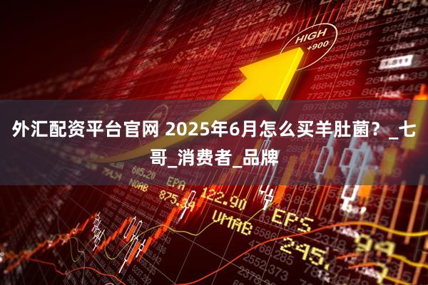 外汇配资平台官网 2025年6月怎么买羊肚菌？_七哥_消费者_品牌