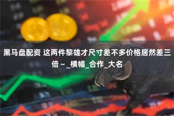 黑马盘配资 这两件黎雄才尺寸差不多价格居然差三倍～_横幅_合作_大名